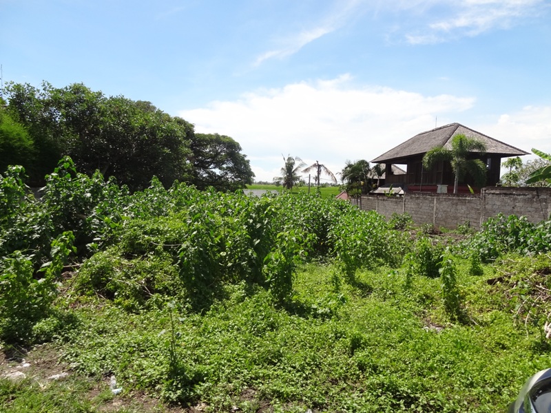 FLPererenan66  |  Indo Investments